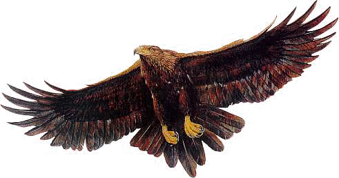 http://www.giovannidesio.it/favole1/immag%20fav/aquila.gif